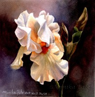 /album/monika-pate/monika-pate-sunny-iris-jpg/